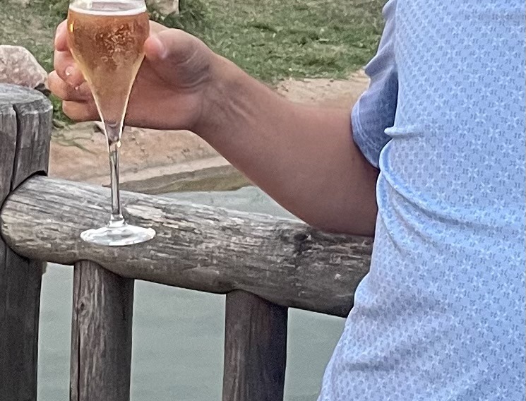 Profil de Benyamin, 48 ans, Escort Trans Luxembourg à Kehmen