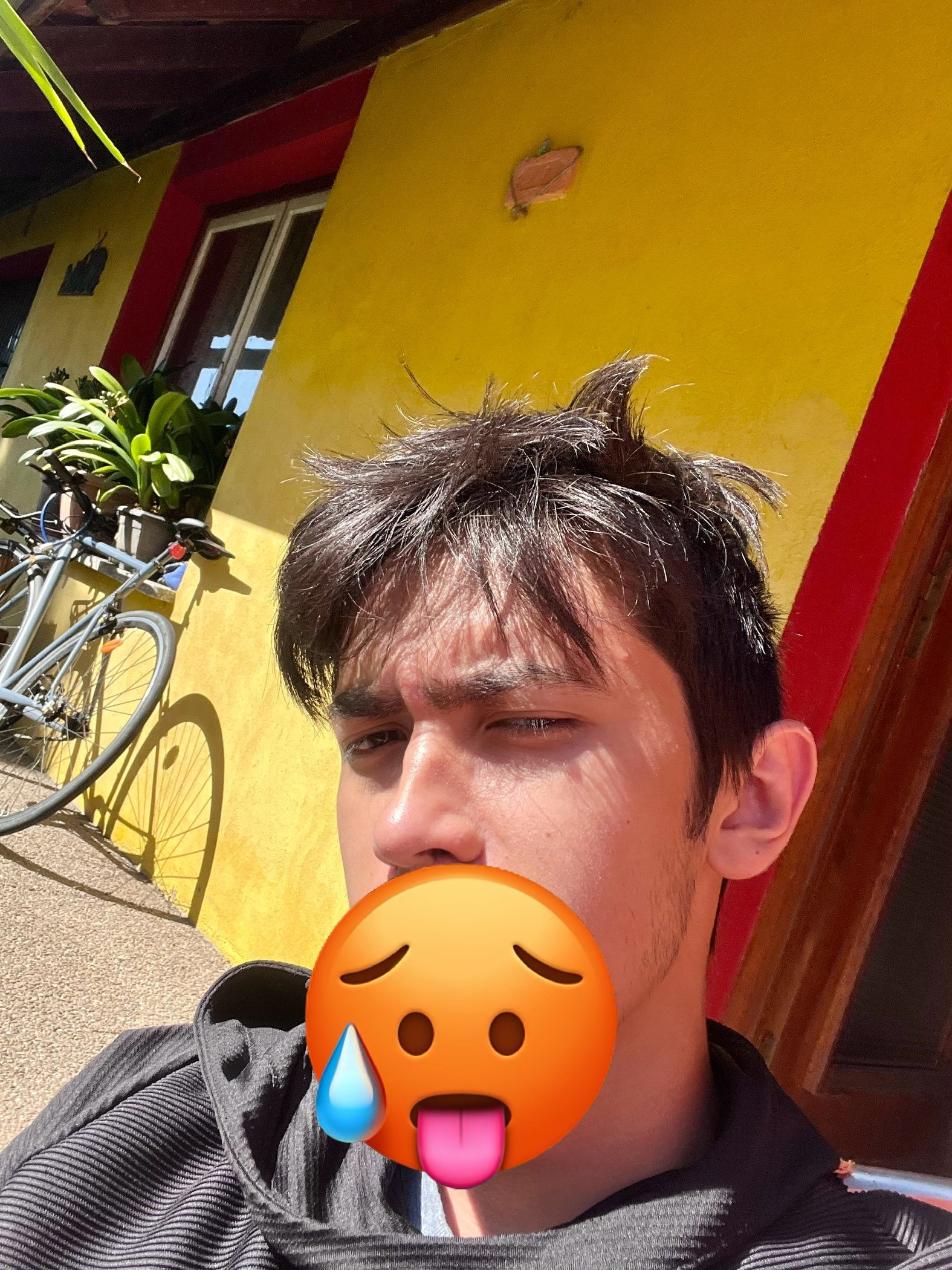 Profil de Herwan, 22 ans, Escort Trans Luxembourg à Wahlhausen