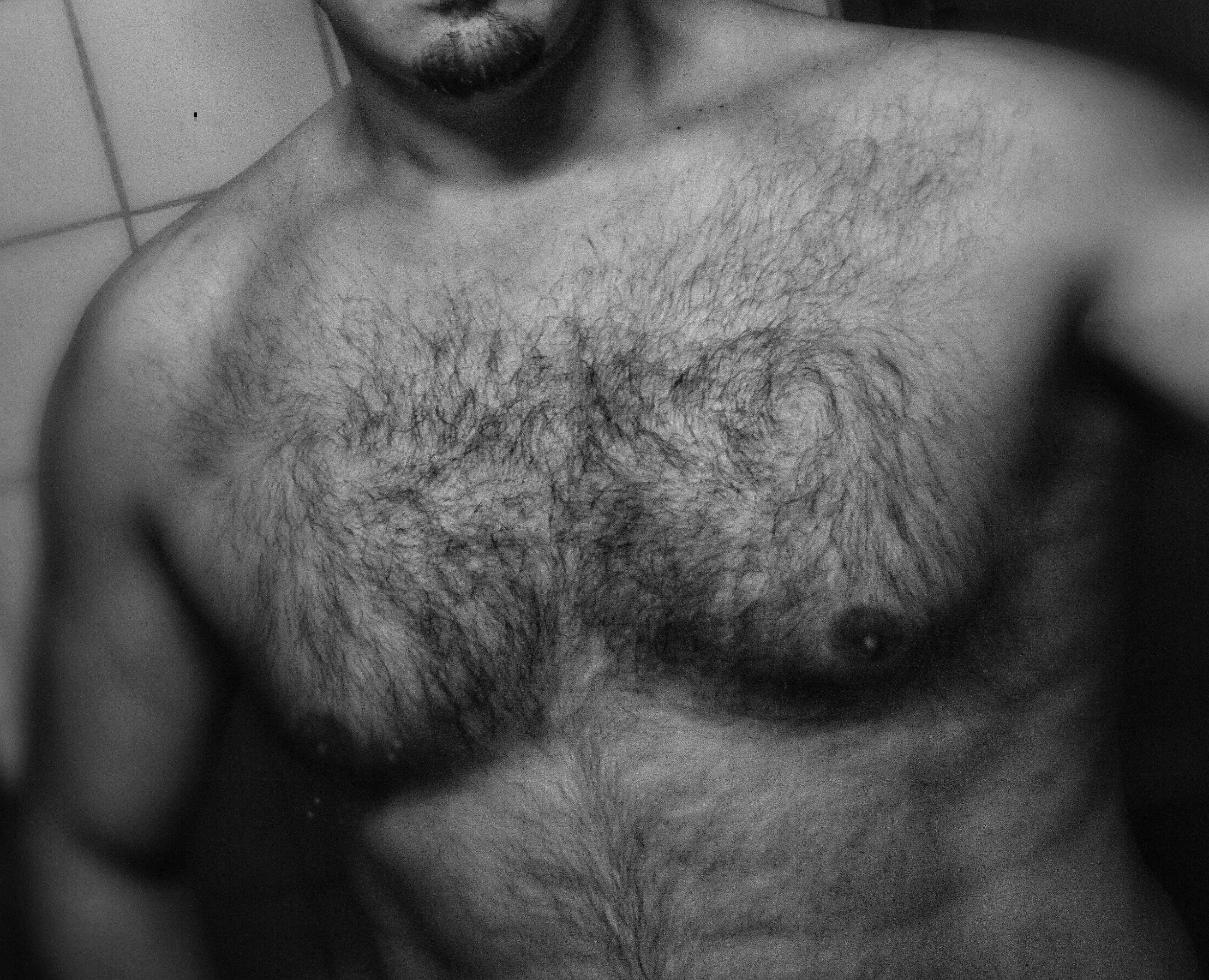 Profil de Tybalt, 46 ans, Escort Trans Luxembourg à Boxhorn